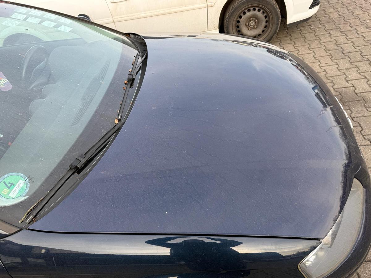 Audi A3 8P original Motorhaube LZ5J Moroblau BJ03